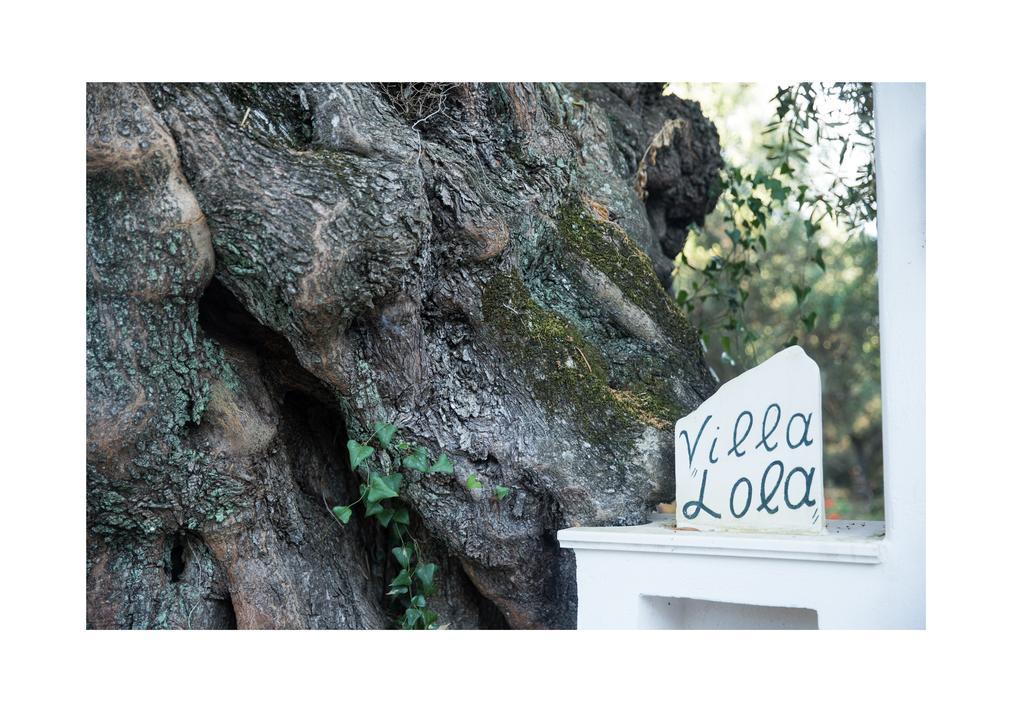 Villa Lola - 3 Bedrooms & Private Pool Lithakia  Exterior foto